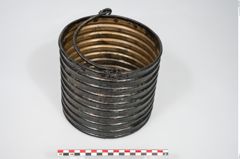 Foto von Bronzerippenziste (NHMW-PRAE-025670)
